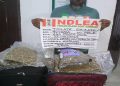 NDLEA seizes N16.6bn drugs at Lagos, Rivers seaports