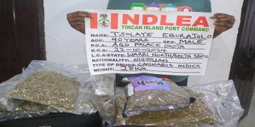 NDLEA seizes N16.6bn drugs at Lagos, Rivers seaports