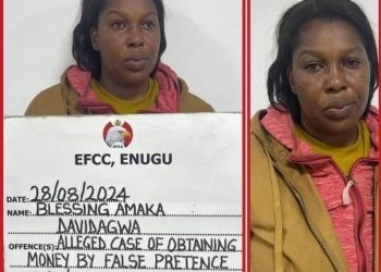 Alleged N28.2 Million Fraud: Court Denies Fake Nurse Bail, Orders Accelerated Hearing