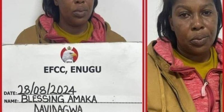 Alleged N28.2 Million Fraud: Court Denies Fake Nurse Bail, Orders Accelerated Hearing