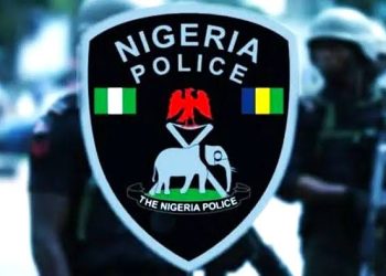 Upholding Rule of Law: Nigeria Police Force Ensures Due Process and Compassion in Handling 76 Suspects 