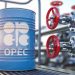 Oil price records over $1 gain after OPEC+ delays output hike