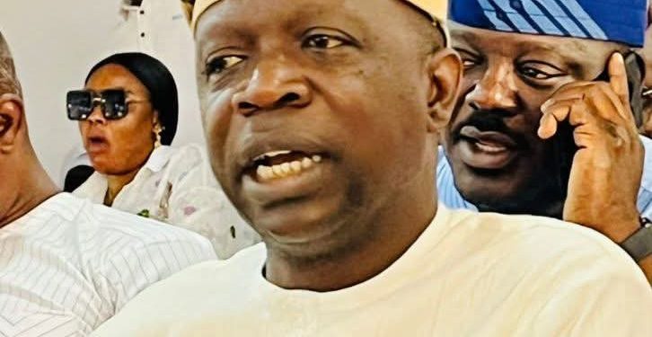 Don’t allow troublemakers cause chaos in Osun LGAs, APC Chieftain appeals to Tinubu