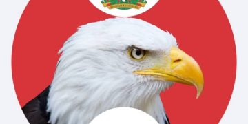 Alleged $6bn Mambila Project Fraud: Obasanjo Didn’t Approve Contract to Sunrise Power Company- Witness