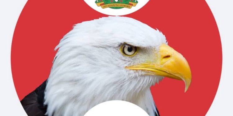 Alleged $6bn Mambila Project Fraud: Obasanjo Didn’t Approve Contract to Sunrise Power Company- Witness