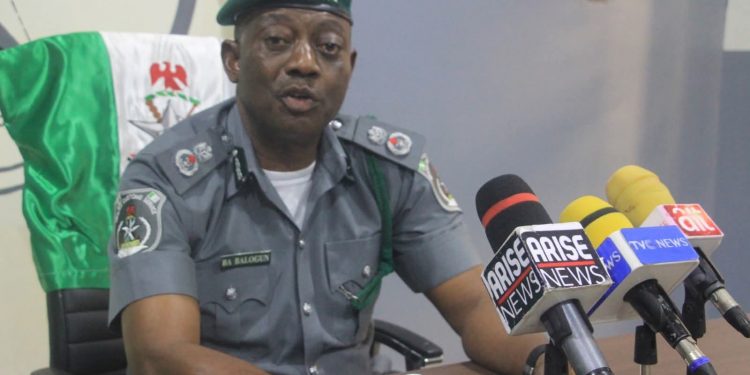 FOU ‘C’ Customs Foils ₦3.6B Donkey Skin Illegal Export