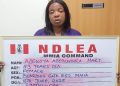 Woman going to India for fibroid surgery arrested with 2.20kg cocaine at MMIA