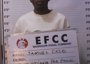Maiduguri Court Jails Two for Internet Fraud