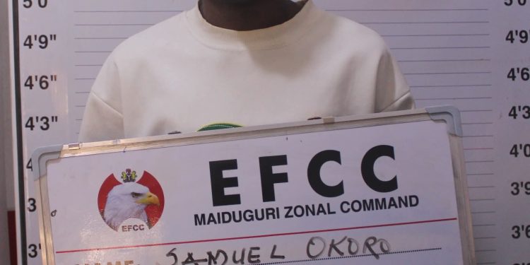 Maiduguri Court Jails Two for Internet Fraud