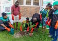 LASPARK Boosts Tree Survival Strategy, Plants Trees in Ibeshe Housing Estate