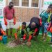 LASPARK Boosts Tree Survival Strategy, Plants Trees in Ibeshe Housing Estate