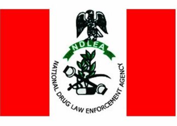 NDLEA arrests 37, recovers 345.421kg drugs in Edo
