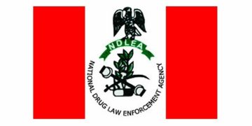 NDLEA arrests 37, recovers 345.421kg drugs in Edo