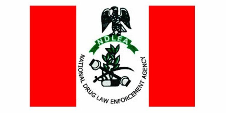 NDLEA arrests 37, recovers 345.421kg drugs in Edo