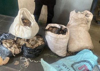 Comptroller Shuaibu Seeks Stronger Synergy with Sister Security Agencies, Traditional Institutions