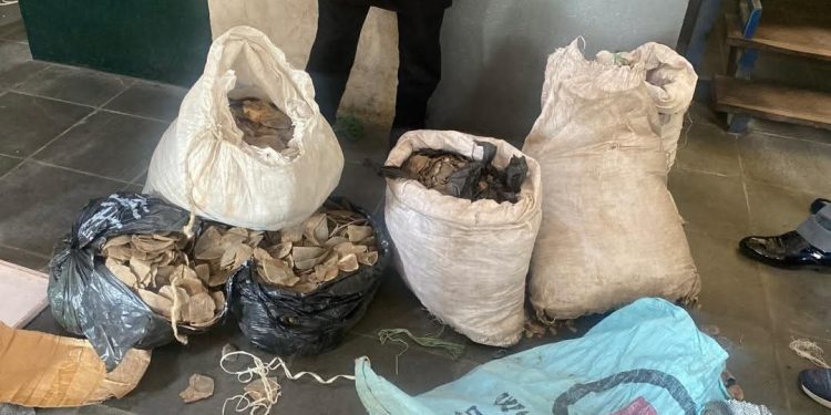 Comptroller Shuaibu Seeks Stronger Synergy with Sister Security Agencies, Traditional Institutions