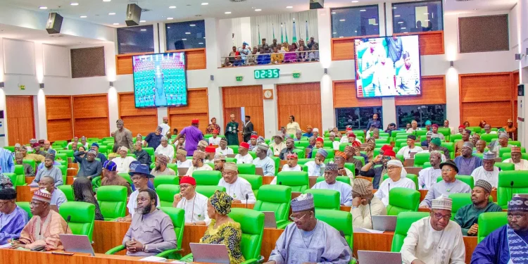 Reps to investigate Nigeria’s €1.2M debt to OACPS