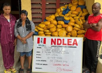 NDLEA intercepts Saudi, UK-bound cocaine in lipsticks, property title documents