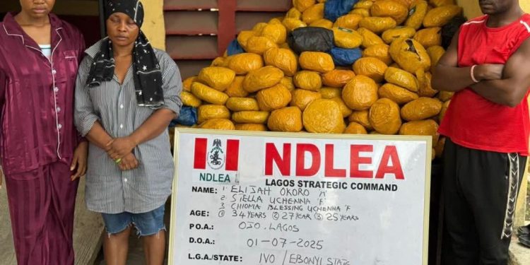 NDLEA intercepts Saudi, UK-bound cocaine in lipsticks, property title documents