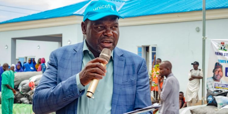 UNICEF donates 3,700 childbirth kits to pregnant women in Borno