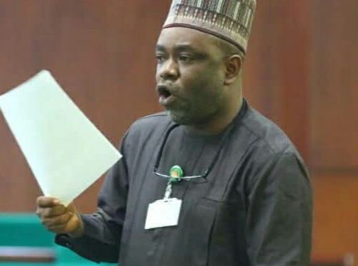 Ekiti North II Deserves a Legislator Who Can Translate Laws into Tangible Benefits